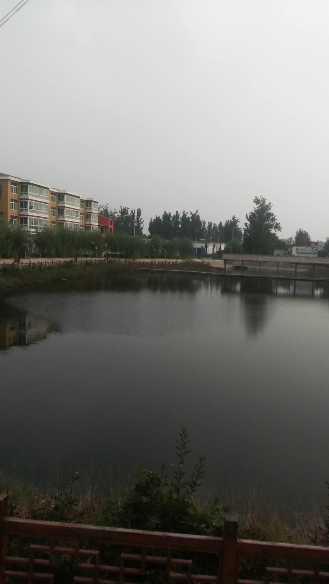 黄垓镇深入推进镇驻地提升工程建设工作