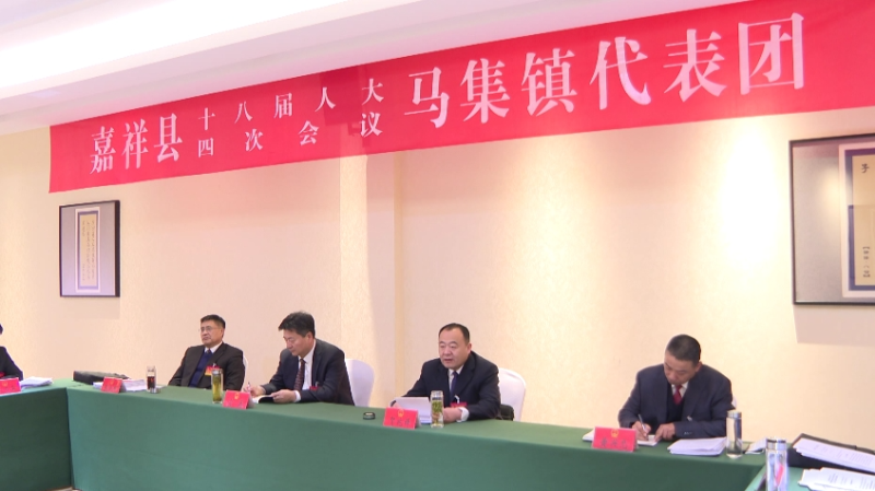 聚焦两会 | 宫磊参加马集镇、疃里镇、马村镇代表团讨论审议
