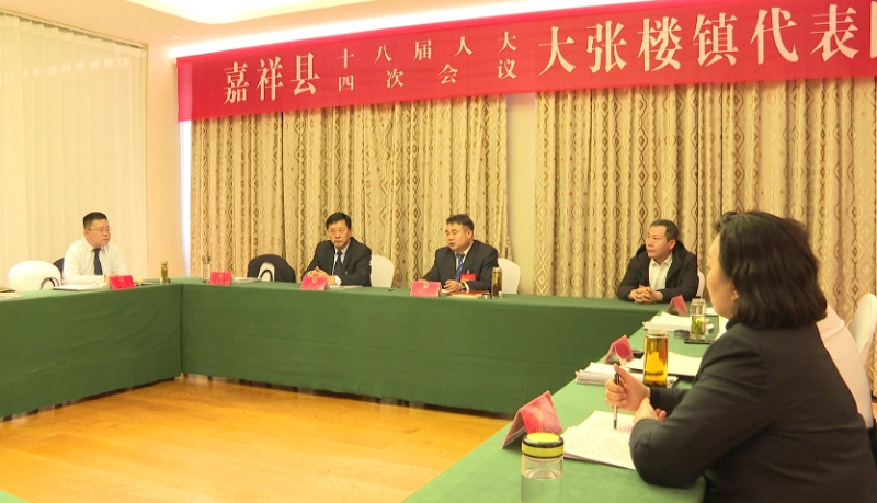 聚焦两会 | 赵旭参加大张楼镇代表团讨论审议